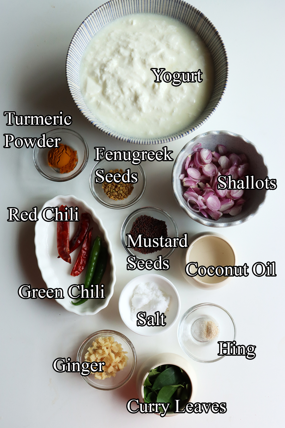 ingredients needed to make moru curry or moru kachiyathu