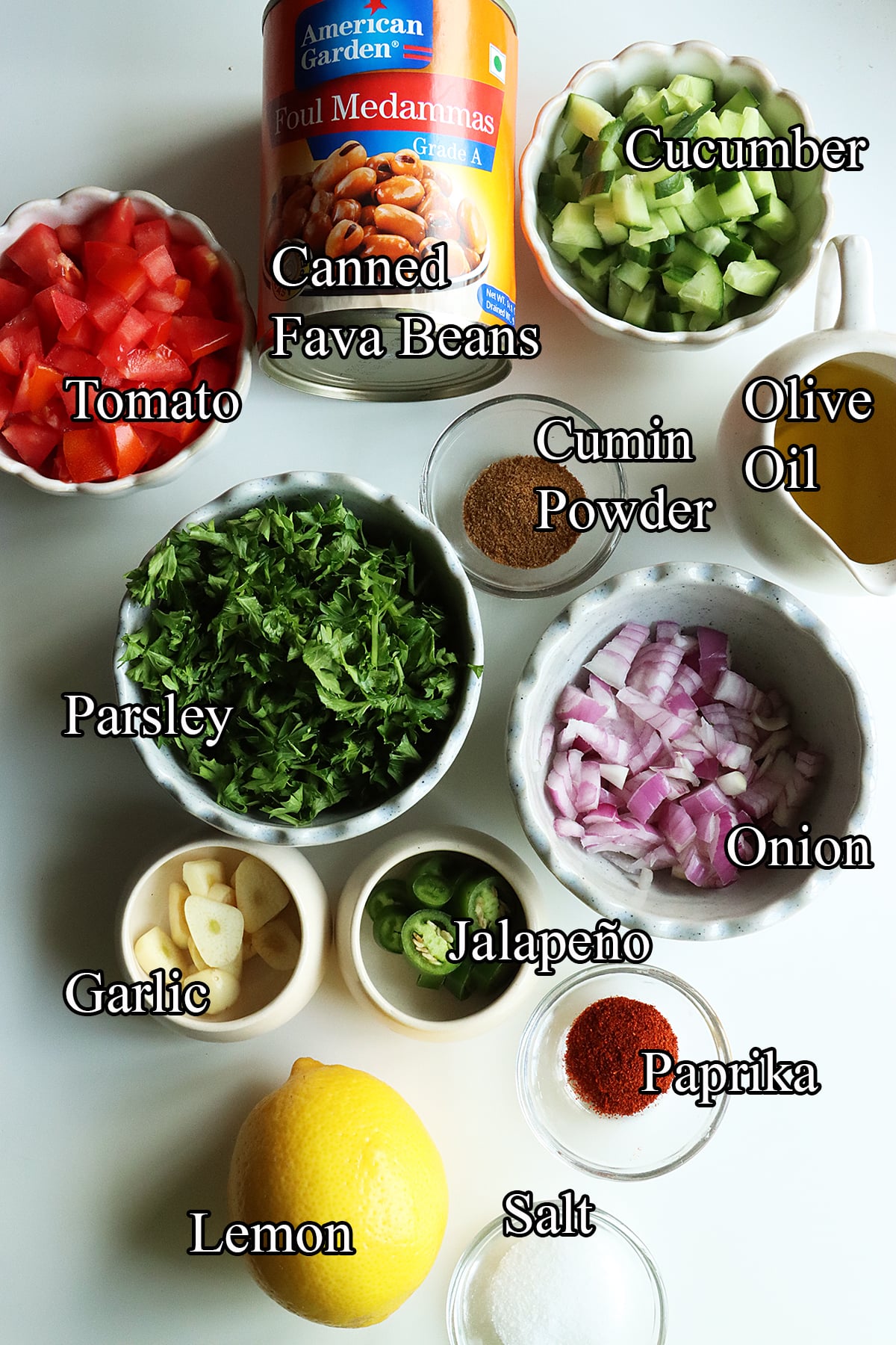Ingredients to make Egyptian ful medames arranged on a table including canned fava beans, tomato, onion, parsley, garlic, jalapeno, paprika, cumin powder, olive oil, lemon and salt.